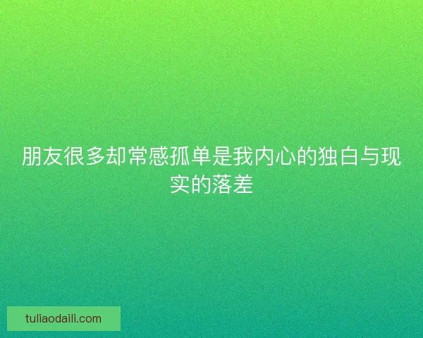朋友很多却常感孤单是我内心的独白与现实的落差